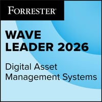 Forrester DAM Badge Leader_2026