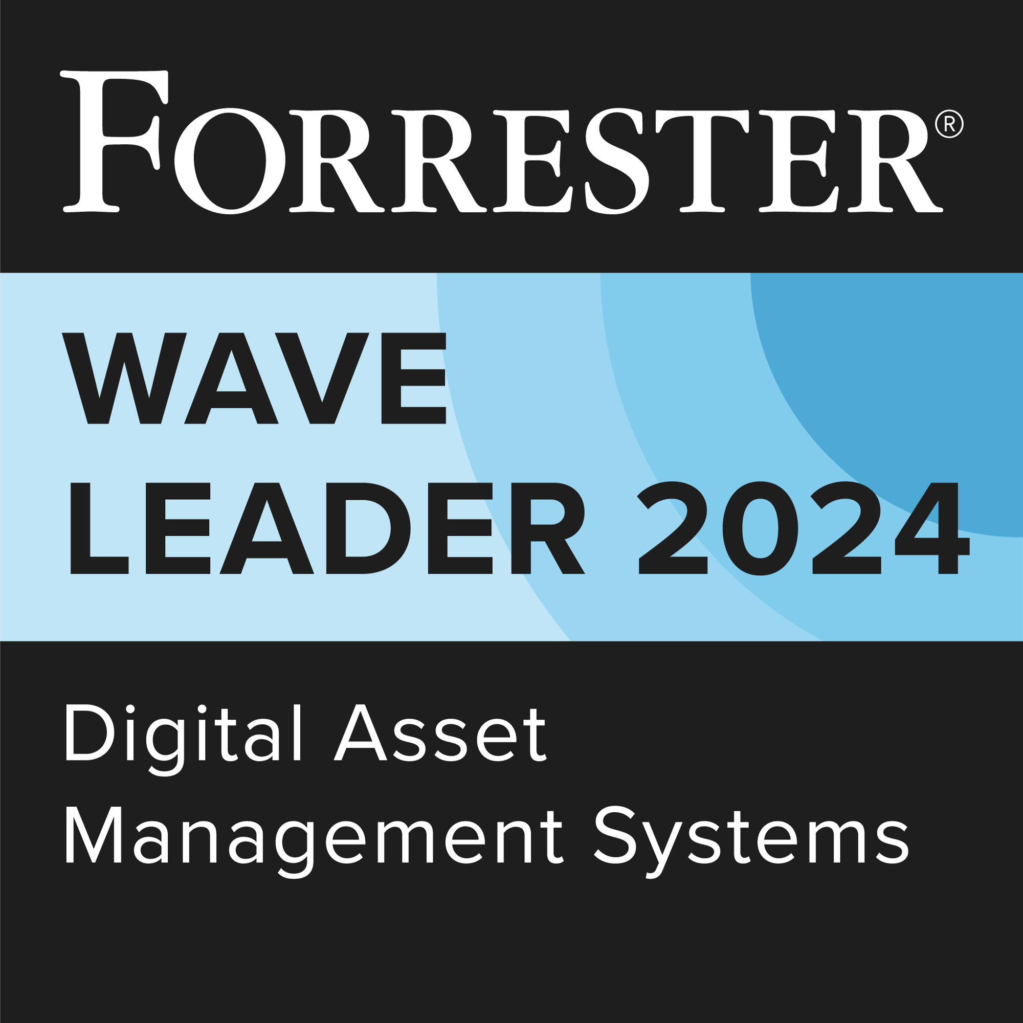 Forrester DAM Wave Badge 2024-1