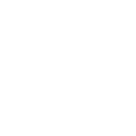 IDC MarketScape DAM 2024