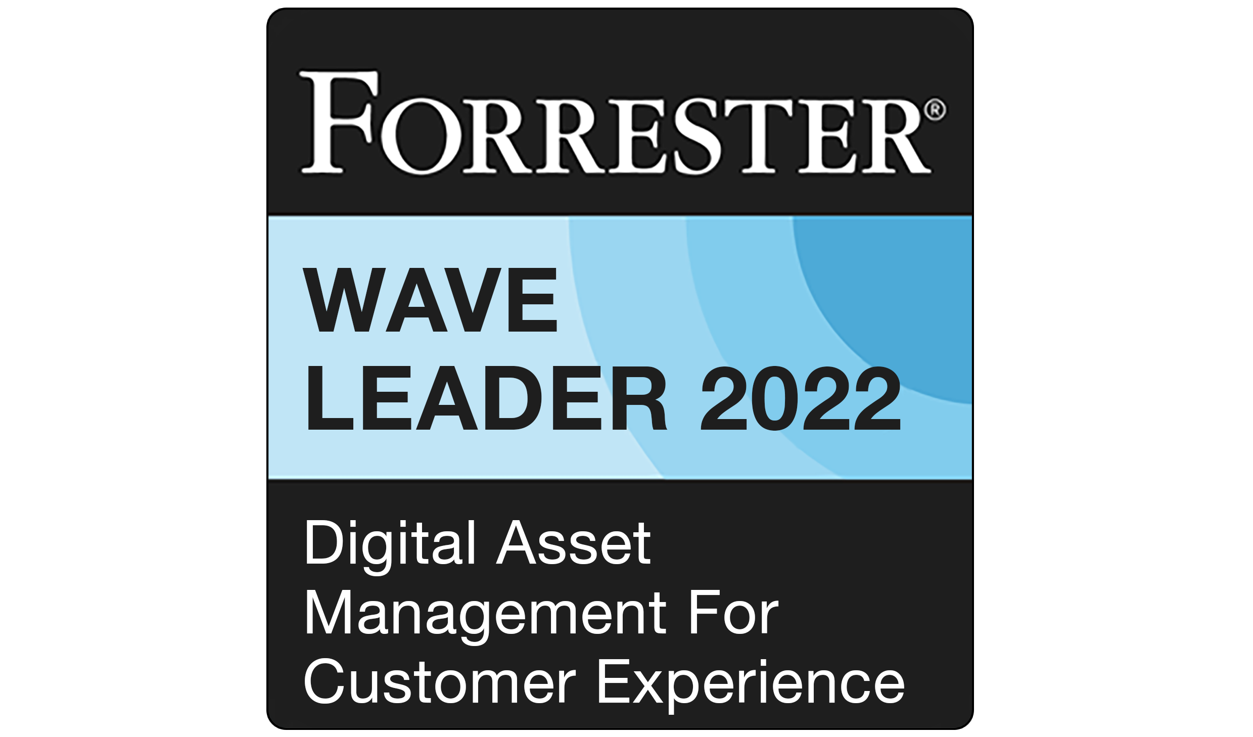 Forrester-Wave-Badge-2022-Image-for-website